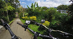 GoPro Handlebar/Seatpost/Pole Mount (GoPro Official Mount)